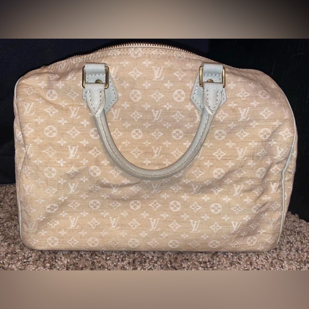 Louis Vuitton Speedy Dune